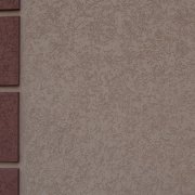 Comment fabriquer du plâtre de scarabée vous-même, si vous n'avez aucune expérience