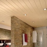 Pannello a soffitto: materiale e finitura