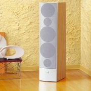 Farbe für flüssige Tapeten: die verwendet werden können