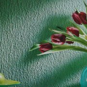 Intonaco bagnato: caratteristiche d'uso