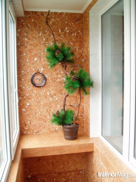 Φελλός φελλού