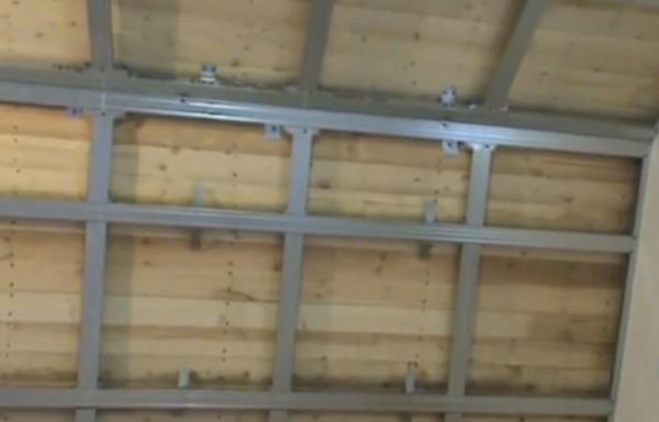 Wireframe cells Wireframe cells