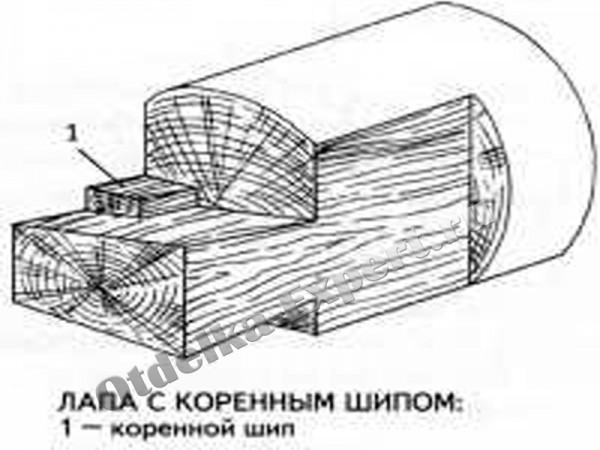 Das Schema der Vorrichtung der Wurzelspitze Das Schema der Vorrichtung der Wurzelspitze