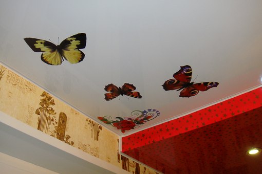 Autocollant vinyle Autocollant vinyle