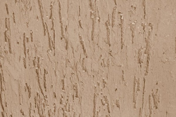 Η υφή του σοβά σκαθάρι φλοιού