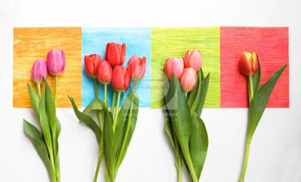 Хармонична цветова комбинация