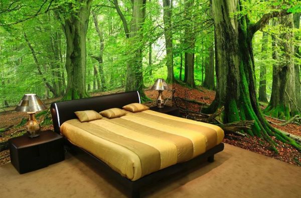 Schlafzimmer in einem grünen Wald