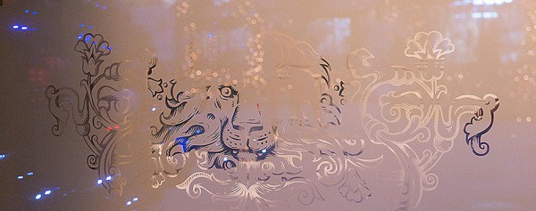 Plâtre écran Plâtre écran