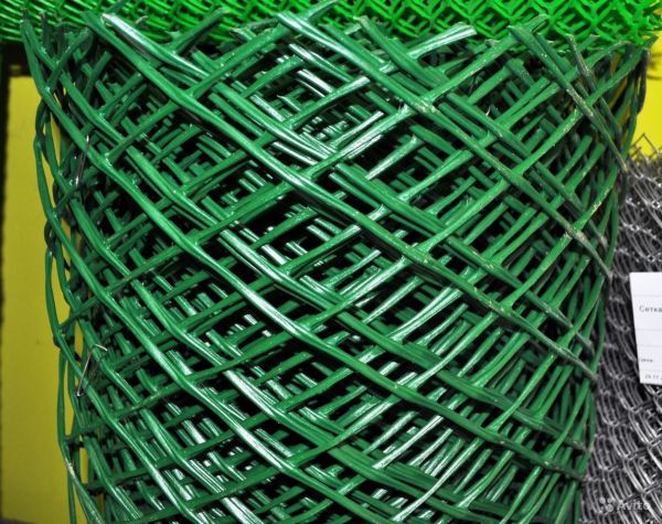 خلايا على شكل الماس