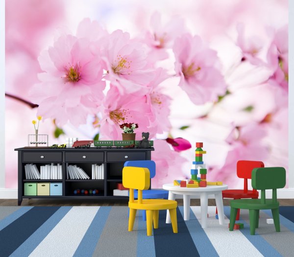 Sakura fiorisce all'interno di una camera per bambini