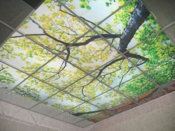 Aplicar papel de parede lavável da foto