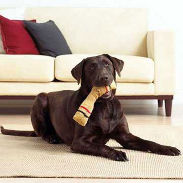 Jouet chaussette Jouet chaussette