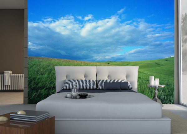Das Bild von blauem Himmel und grünem Feld schafft eine klare horizontale Trennung des Innenraums im Schlafzimmer und macht den Raum optisch breiter