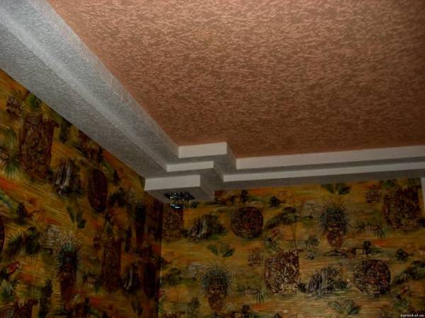 Acabamento de besouro de casca de teto