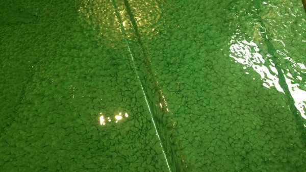 Hammerbeschichtung Textur