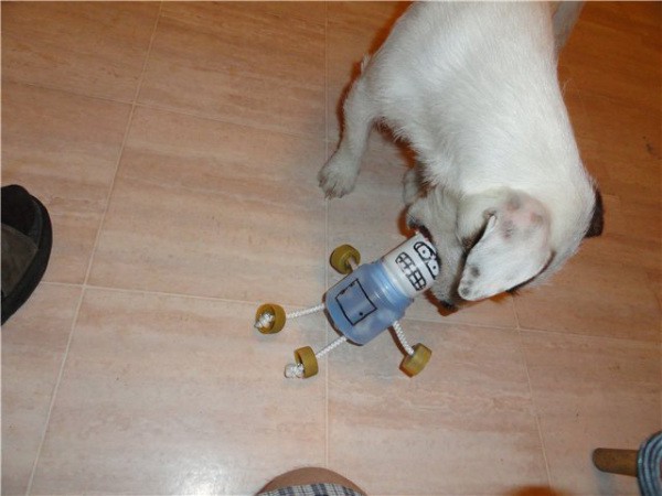 Drôle de petit homme pour chiens Drôle de petit homme pour chiens