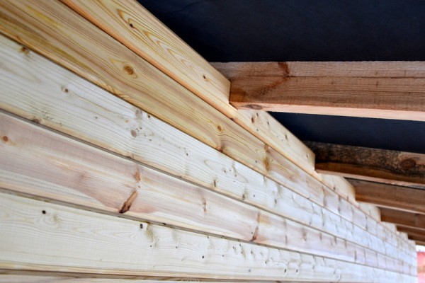 Come dipingere un albero bianco