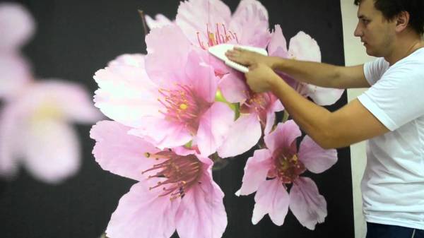 Lissage des irrégularités dans le papier peint photo avec une spatule en caoutchouc avec une large surface de travail