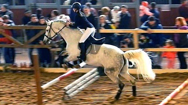 Wandgemälde mit dem Bild des Pferdesports passen in jedes Interieur