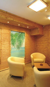 Συνδυασμός τοιχογραφίας τοίχου