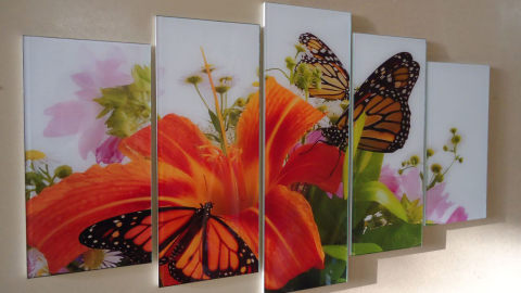 Wir sehen eine Glasscheibe, die in mehreren Teilen dargestellt ist