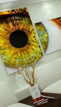 Die Glasscheibe in Ihrem Haus wird stilvoll und modisch aussehen.