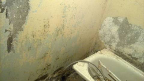 Klor tedavisinden sonra duvar