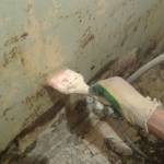 Mantarın duvarlardan çıkarılması