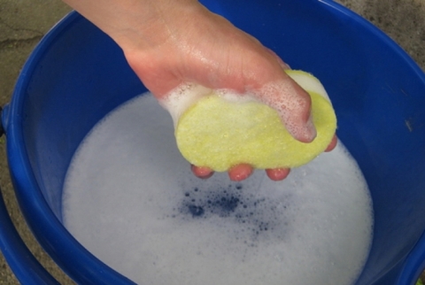 Papel pintado para niños no tejidos, cuidado.