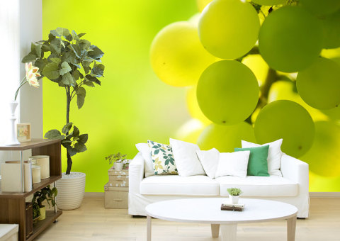 Η χρήση αυτοκόλλητης ταπετσαρίας φωτογραφιών