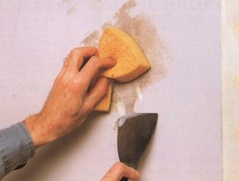 Emulsionswäsche auf PVA-Basis