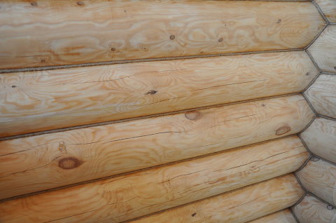 Къща за трупи Къща за трупи