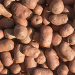 Argilla espansa: argilla espansa