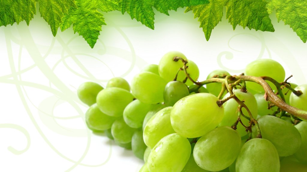 Helle und gesättigte Fototapete