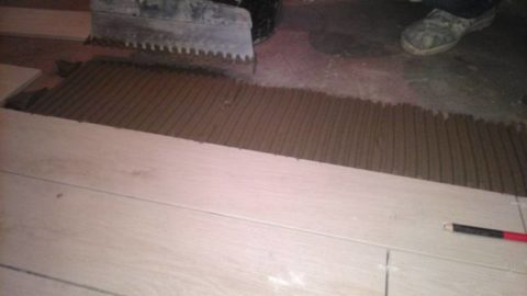 Λειτουργία χτενών