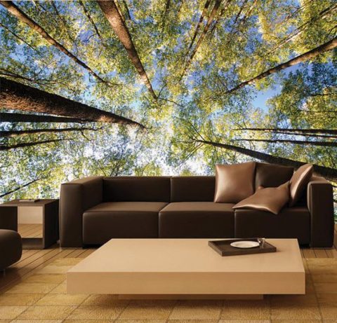 عند اختيار خلفية الصورة ، يجب مراعاة نظام الألوان من الداخل